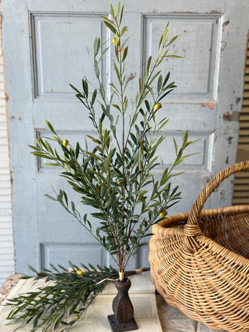 Clemency Olive Bundle | 35" | NOT CURRENTLY IN STOCK-New For Spring 2027!