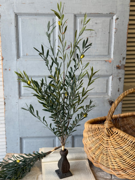 Clemency Olive Bundle | 35" | NOT CURRENTLY IN STOCK-New For Spring 2027!
