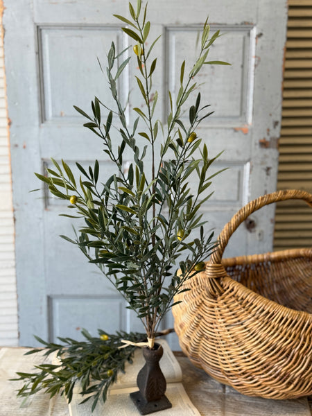 Clemency Olive Bundle | 35" | NOT CURRENTLY IN STOCK-New For Spring 2027!