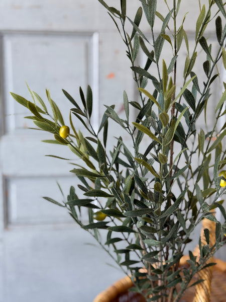 Clemency Olive Bundle | 35" | NOT CURRENTLY IN STOCK-New For Spring 2027!
