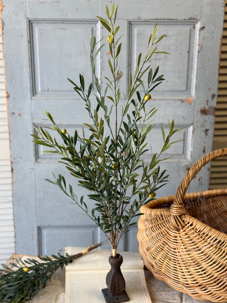 Clemency Olive Bundle | 35" | NOT CURRENTLY IN STOCK-New For Spring 2027!