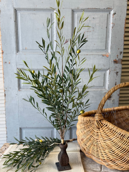 Clemency Olive Bundle | 35" | NOT CURRENTLY IN STOCK-New For Spring 2027!