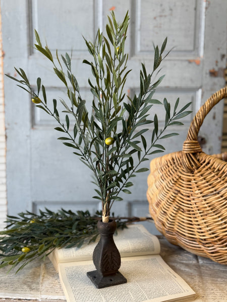 Clemency Olive Bundle | 24" | NOT CURRENTLY IN STOCK-New For Spring 2027!