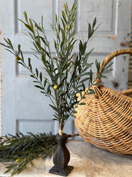 Clemency Olive Bundle | 24" | NOT CURRENTLY IN STOCK-New For Spring 2027!