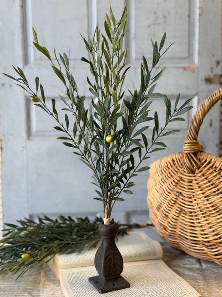Clemency Olive Bundle | 24" | NOT CURRENTLY IN STOCK-New For Spring 2027!