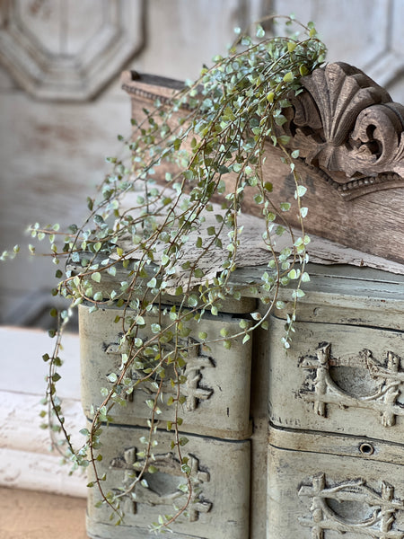 Dew Leaf Vine | 25" | NOT CURRENTLY IN STOCK - Spring 2026