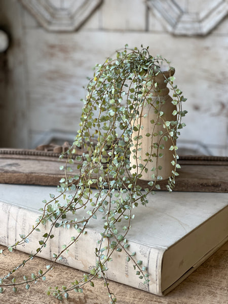 Dew Leaf Vine | 25" | NOT CURRENTLY IN STOCK - Spring 2026