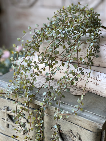 Dew Leaf Vine | 25" | NOT CURRENTLY IN STOCK - Spring 2026