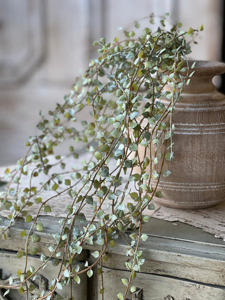 Dew Leaf Vine | 25" | NOT CURRENTLY IN STOCK - Spring 2026