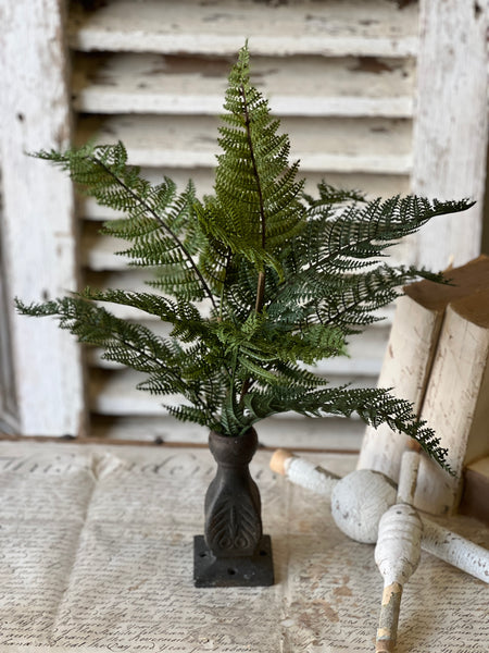 Fernwood Haven Bush | 19" | NOT CURRENTLY IN STOCK-New For Spring 2026!