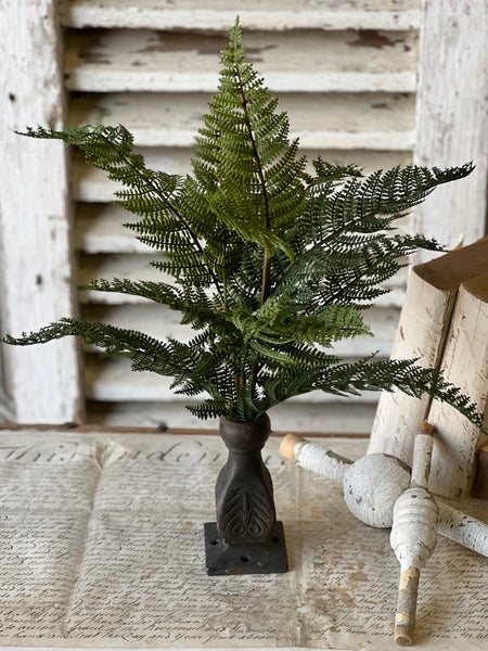 Fernwood Haven Bush | 19" | NOT CURRENTLY IN STOCK-New For Spring 2026!
