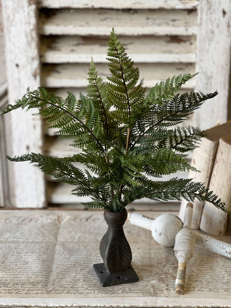 Fernwood Haven Bush | 19" | NOT CURRENTLY IN STOCK-New For Spring 2026!