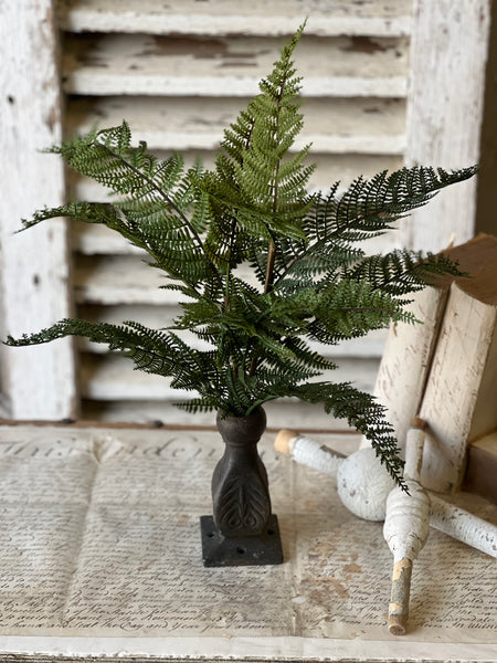 Fernwood Haven Bush | 19" | NOT CURRENTLY IN STOCK-New For Spring 2026!