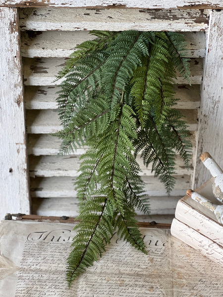 Fernwood Haven Hanging | 29" | NOT CURRENTLY IN STOCK-New For 2026!