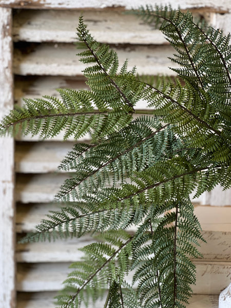 Fernwood Haven Hanging | 29" | NOT CURRENTLY IN STOCK-New For 2026!