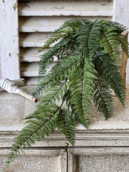 Fernwood Haven Hanging | 29" | NOT CURRENTLY IN STOCK-New For 2026!