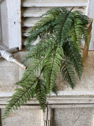 Fernwood Haven Hanging | 29" | NOT CURRENTLY IN STOCK-New For 2026!