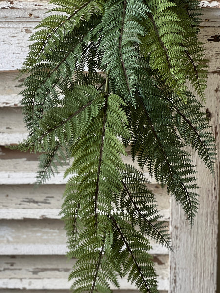 Fernwood Haven Hanging | 29" | NOT CURRENTLY IN STOCK-New For 2026!