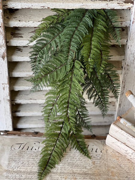 Fernwood Haven Hanging | 29" | NOT CURRENTLY IN STOCK-New For 2026!