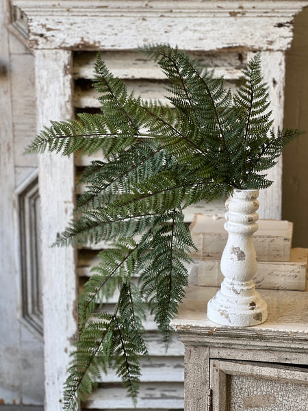 Fernwood Haven Hanging | 29" | NOT CURRENTLY IN STOCK-New For 2026!