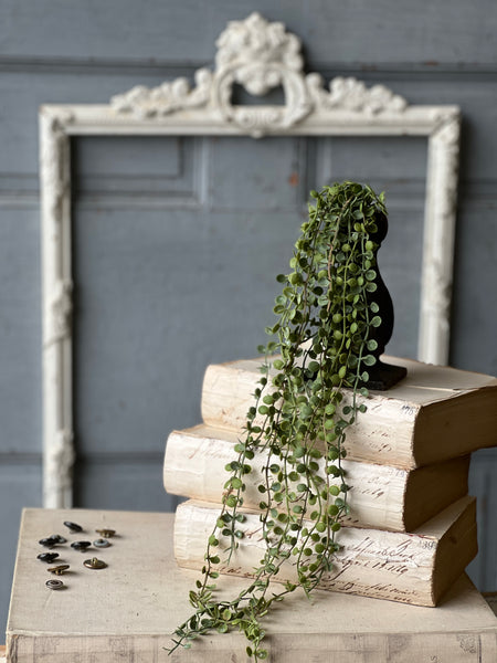 Boutonniere Vine Hanging | 23" | NOT CURRENTLY IN STOCK-New For Spring 2026!