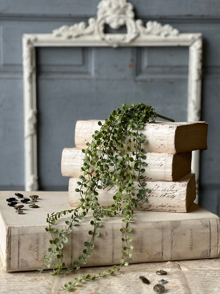 Boutonniere Vine Hanging | 23" | NOT CURRENTLY IN STOCK-New For Spring 2026!