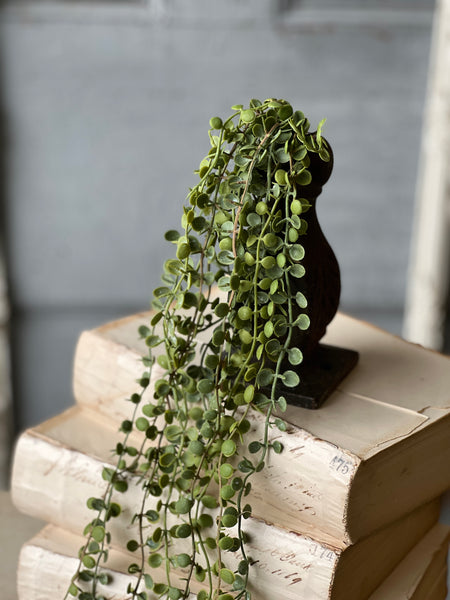 Boutonniere Vine Hanging | 23" | NOT CURRENTLY IN STOCK-New For Spring 2026!
