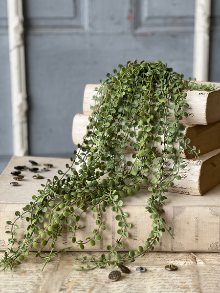 Boutonniere Vine Hanging | 25" | NOT CURRENTLY IN STOCK-New For Spring 2026!