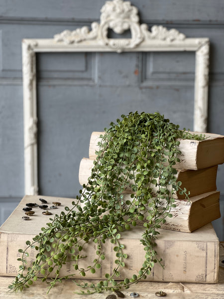 Boutonniere Vine Hanging | 25" | NOT CURRENTLY IN STOCK-New For Spring 2026!