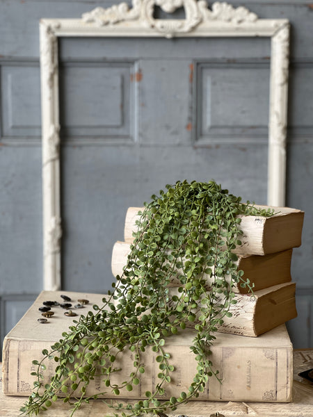 Boutonniere Vine Hanging | 25" | NOT CURRENTLY IN STOCK-New For Spring 2026!