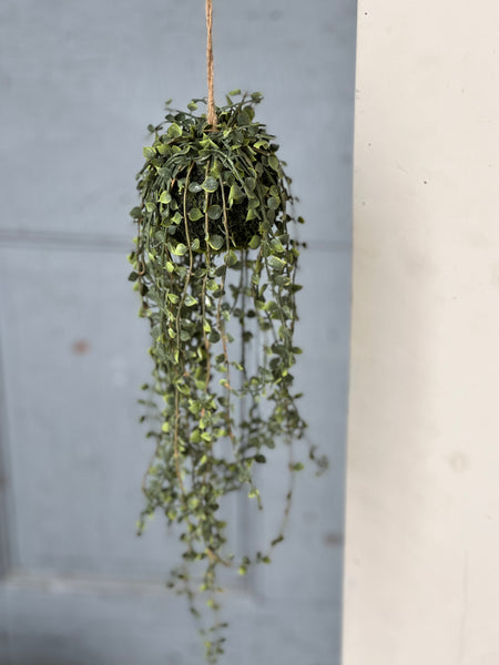 Rooted Heartstrings Vine | 17" | NOT CURRENTLY IN STOCK-New For Spring 2026!