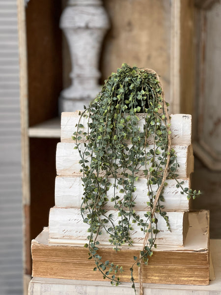 Rooted Heartstrings Vine | 17" | NOT CURRENTLY IN STOCK-New For Spring 2026!