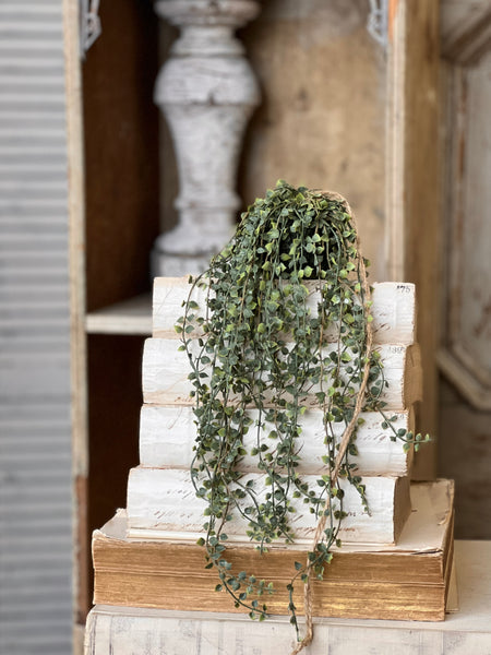 Rooted Heartstrings Vine | 17" | NOT CURRENTLY IN STOCK-New For Spring 2026!