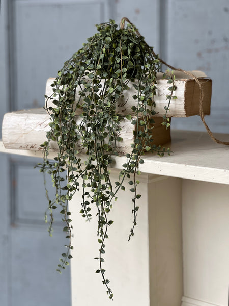 Rooted Heartstrings Vine | 17" | NOT CURRENTLY IN STOCK-New For Spring 2026!