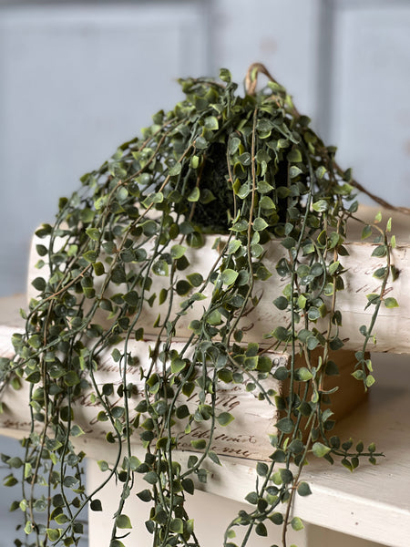 Rooted Heartstrings Vine | 17" | NOT CURRENTLY IN STOCK-New For Spring 2026!