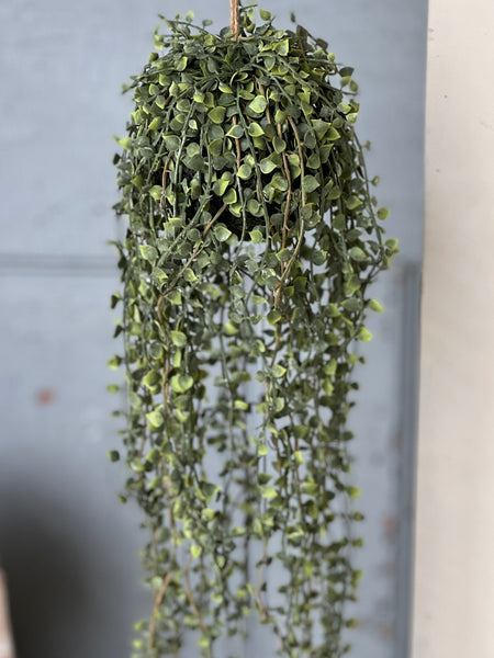 Rooted Heartstrings Vine | 24" | NOT CURRENTLY IN STOCK-New For Spring 2026!
