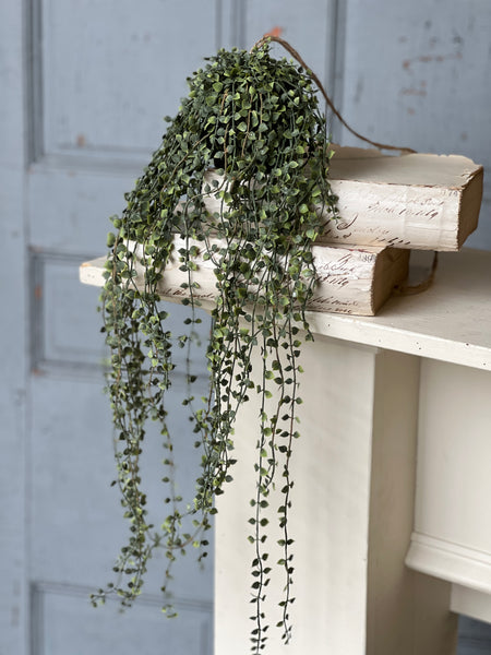 Rooted Heartstrings Vine | 24" | NOT CURRENTLY IN STOCK-New For Spring 2026!