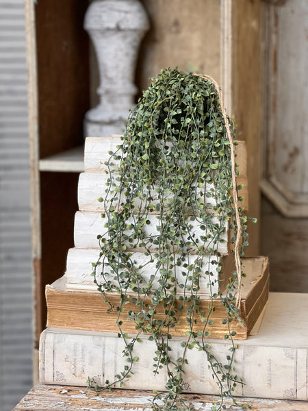 Rooted Heartstrings Vine | 24" | NOT CURRENTLY IN STOCK-New For Spring 2026!