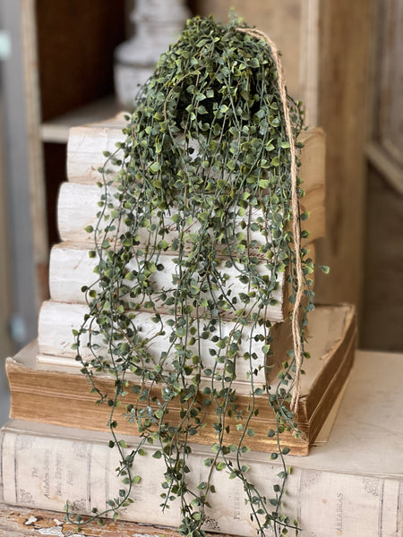 Rooted Heartstrings Vine | 24" | NOT CURRENTLY IN STOCK-New For Spring 2026!