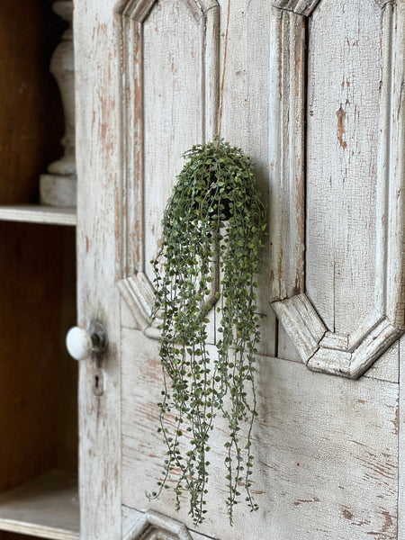 Rooted Heartstrings Vine | 24" | NOT CURRENTLY IN STOCK-New For Spring 2026!