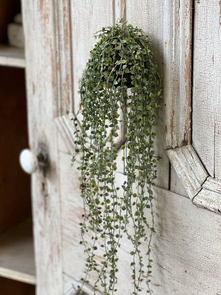 Rooted Heartstrings Vine | 24" | NOT CURRENTLY IN STOCK-New For Spring 2026!