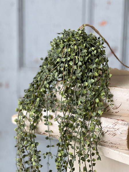 Rooted Heartstrings Vine | 24" | NOT CURRENTLY IN STOCK-New For Spring 2026!