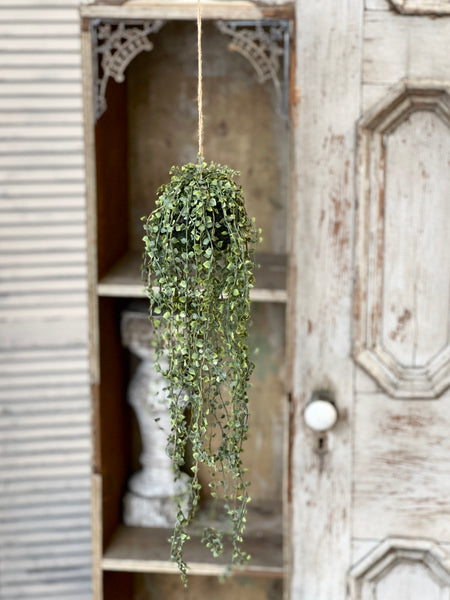 Rooted Heartstrings Vine | 24" | NOT CURRENTLY IN STOCK-New For Spring 2026!