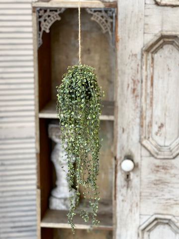 Rooted Heartstrings Vine | 24" | NOT CURRENTLY IN STOCK-New For Spring 2026!