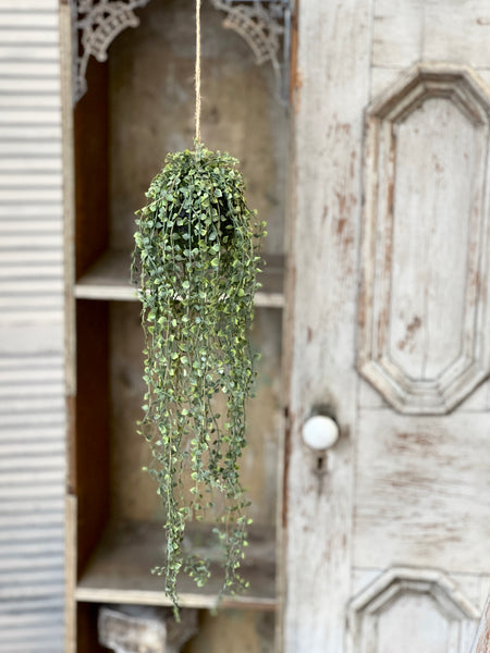 Rooted Heartstrings Vine | 24" | NOT CURRENTLY IN STOCK-New For Spring 2026!