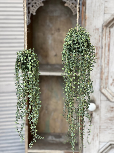 Rooted Heartstrings Vine | 24" | NOT CURRENTLY IN STOCK-New For Spring 2026!