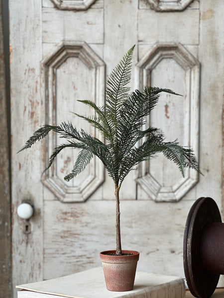 Sonora Palm | 26" | NOT CURRENTLY IN STOCK-New For Spring 2026!