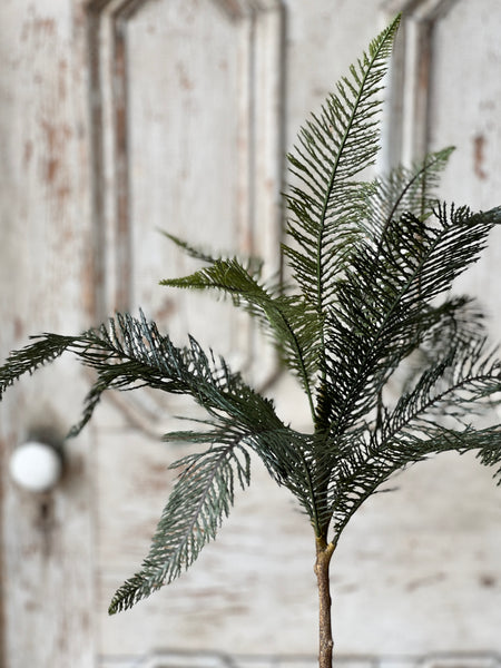 Sonora Palm | 36" | NOT CURRENTLY IN STOCK-New For Spring 2026!