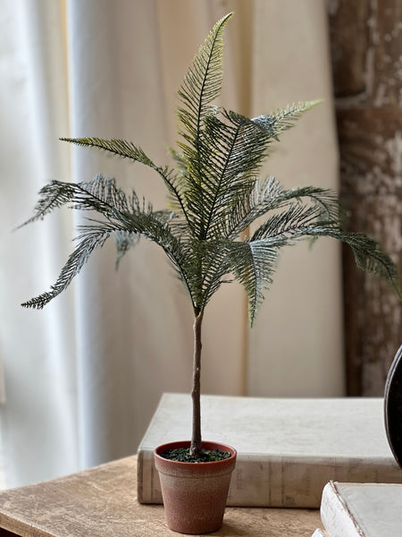 Sonora Palm | 26" | NOT CURRENTLY IN STOCK-New For Spring 2026!