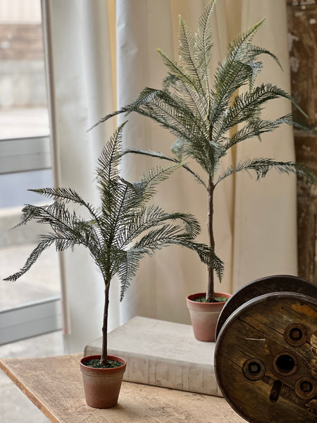 Sonora Palm | 26" | NOT CURRENTLY IN STOCK-New For Spring 2026!